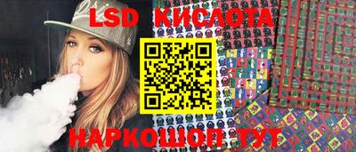 гидра Новозыбков